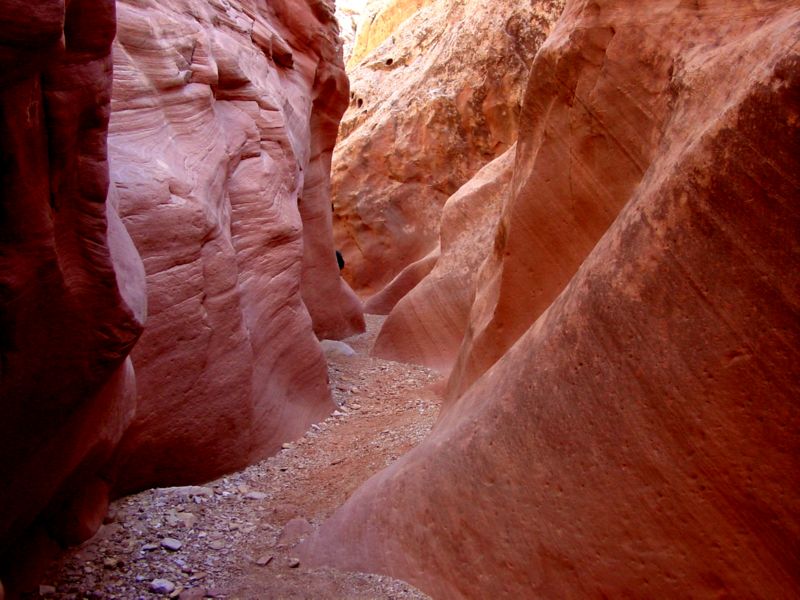 04160302LittleWildHorse (1118)